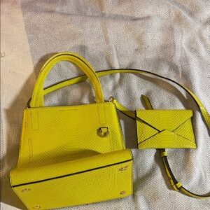 Banana Republic Vibrant Yellow Mini Bag Set